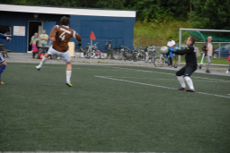 vvileidsvЖg2012 045